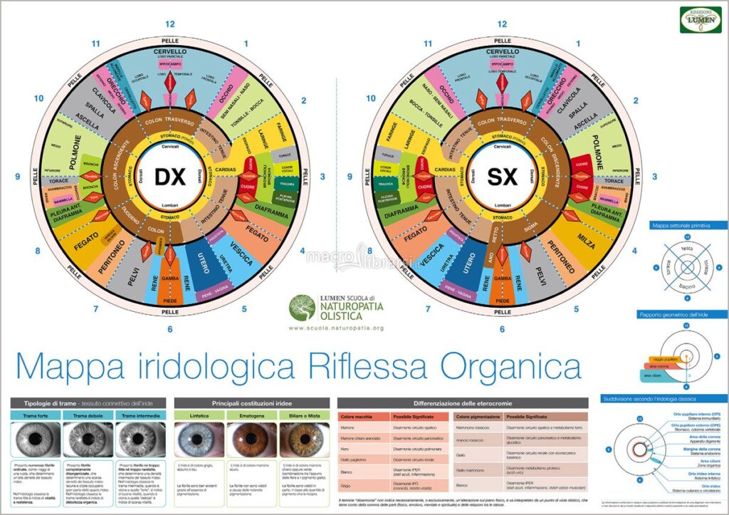 Iridologia e Naturopatia Venerdi 7 Giugno 2024