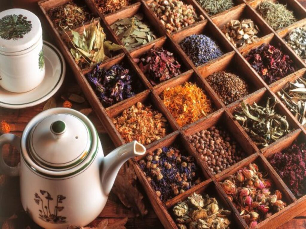 Iridologia-Naturopatia