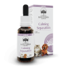 I Fiori Australiani per gli Animali Calming Separation