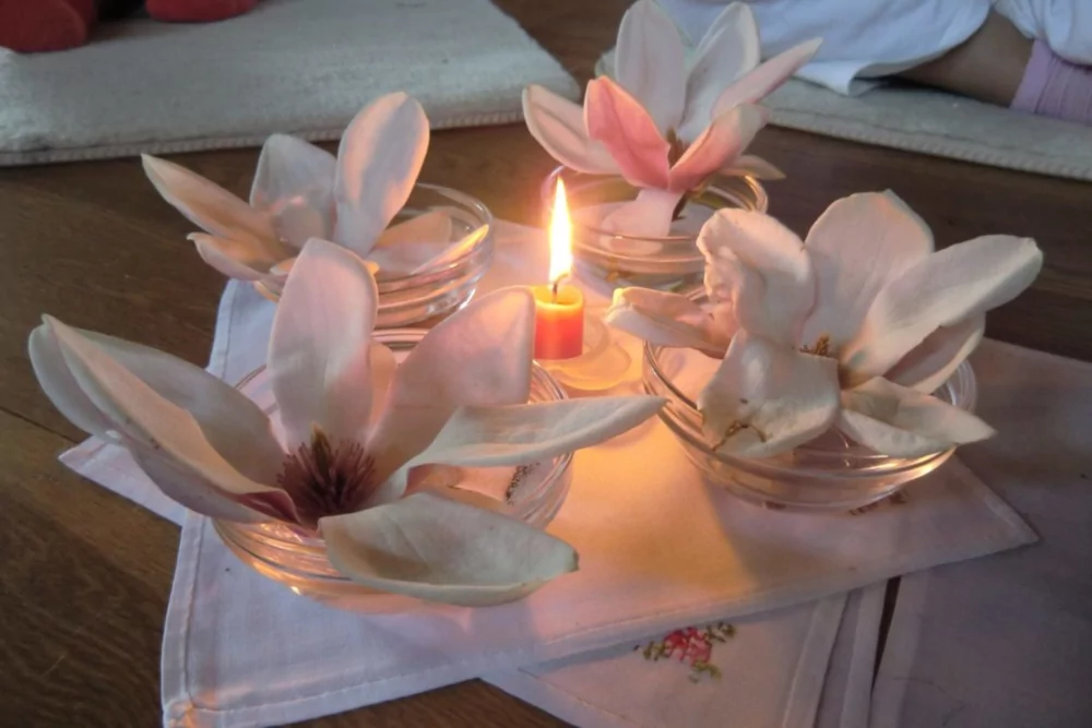 Erboristeria Candele