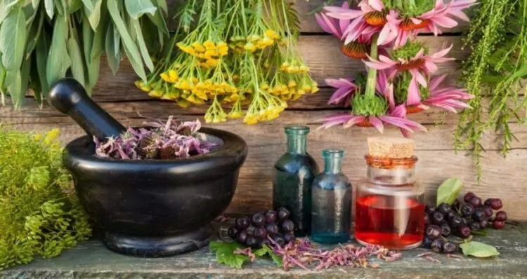 Erboristeria Mortaio